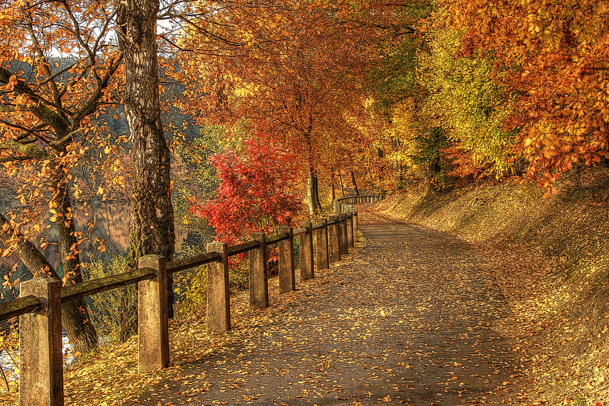 Herbst im Sauerland.