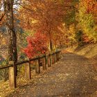 Herbst im Sauerland.