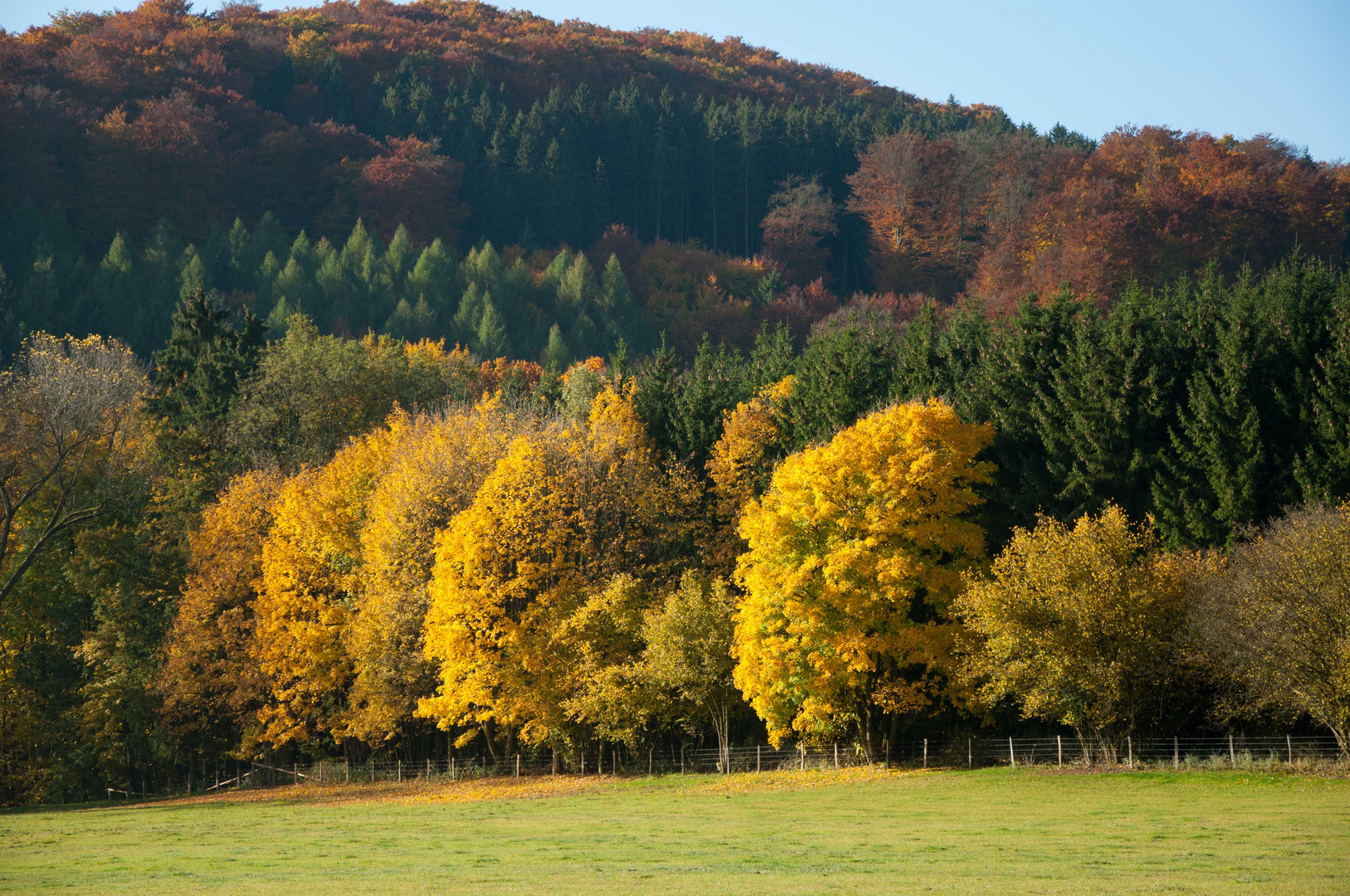 Herbst im Sauerland