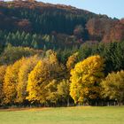 Herbst im Sauerland