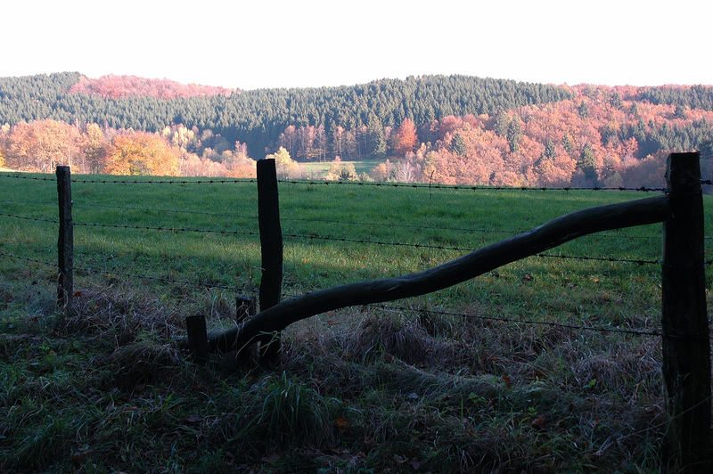 Herbst im Sauerland ...