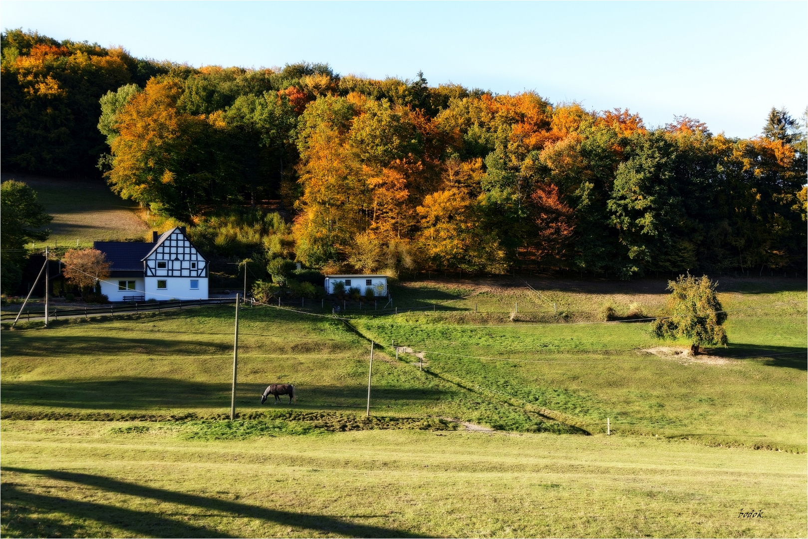 Herbst im Sauerland