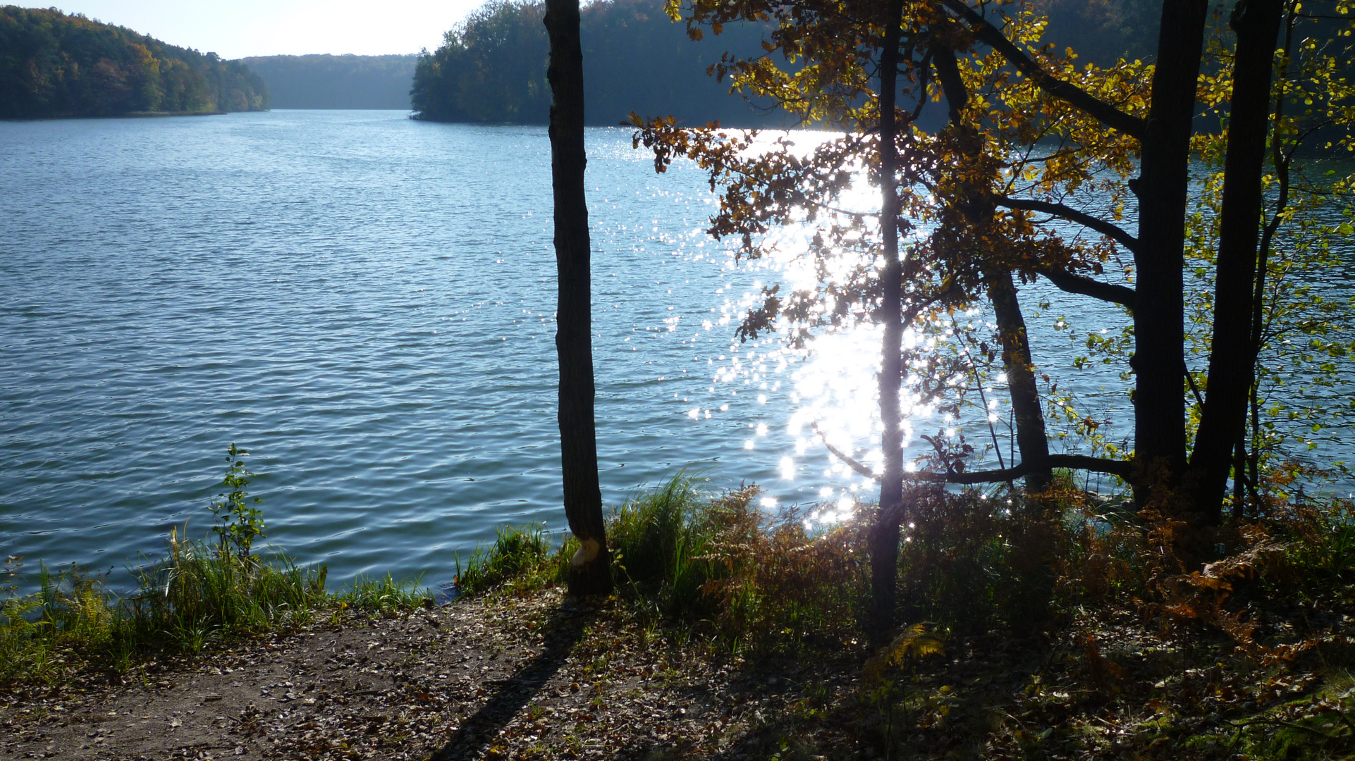 Herbst im Schlaubetal