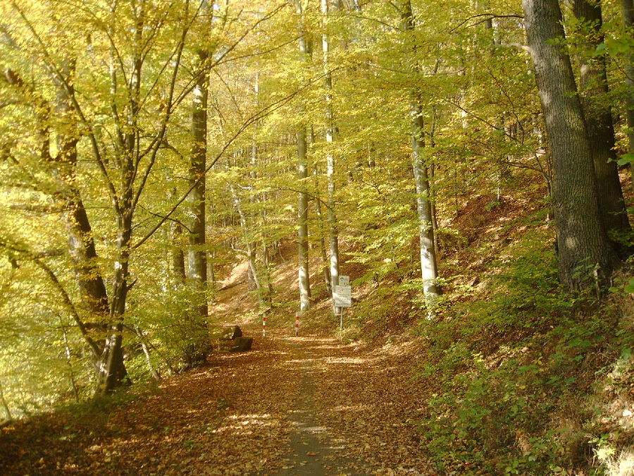 Herbst im Schlitzerland