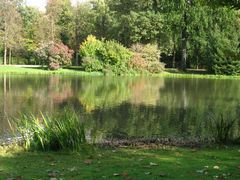 Herbst im Schloßgarten