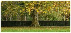 Herbst im Schloßgarten