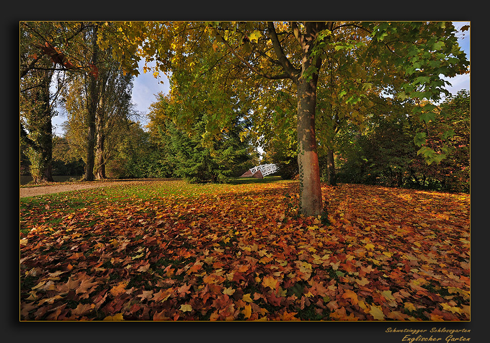 Herbst im Schlossgarten