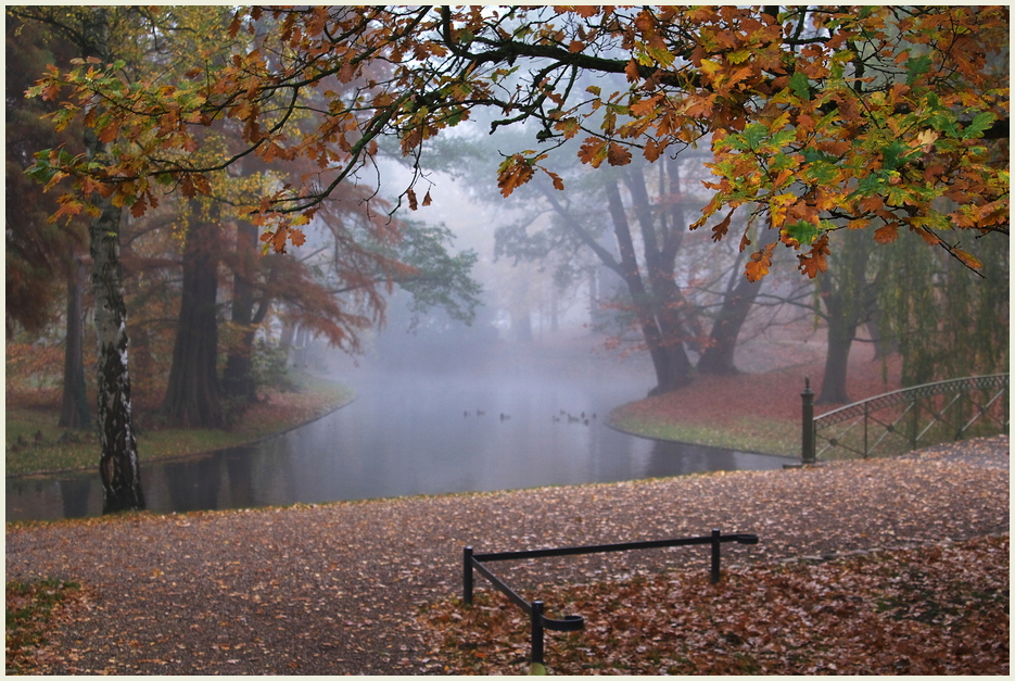 Herbst im Schlossgarten