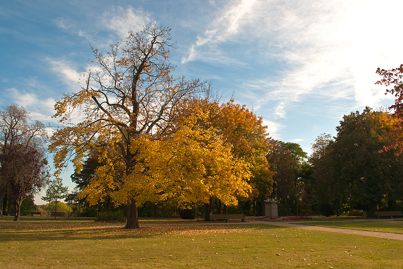 Herbst im Schlossgarten