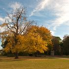 Herbst im Schlossgarten