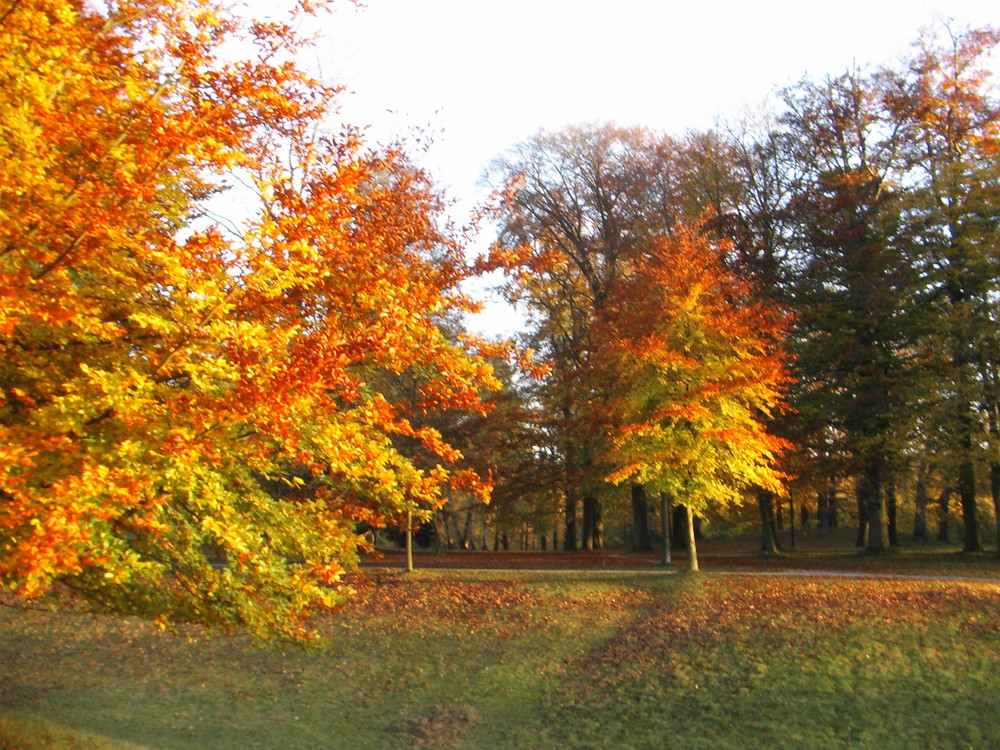 Herbst im Schlossgarten Wilhelmstal.