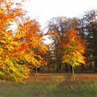 Herbst im Schlossgarten Wilhelmstal.