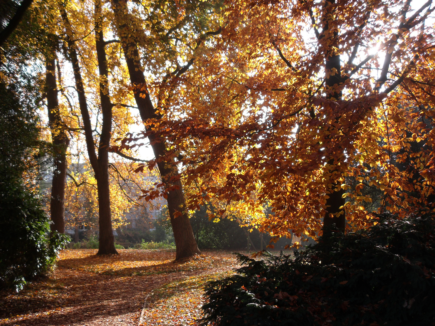 Herbst im Schlossgaten