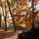 Herbst im Schlossgaten