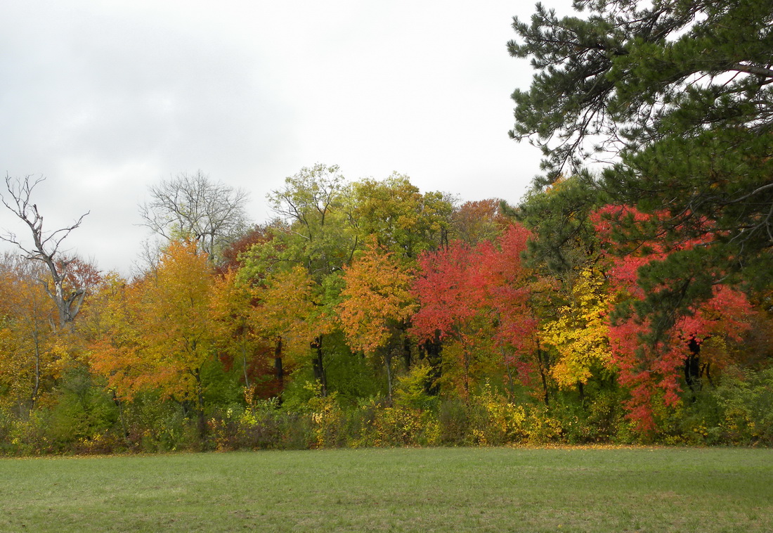 Herbst im Schloßpark