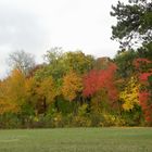 Herbst im Schloßpark