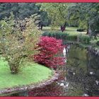 Herbst im Schloßpark