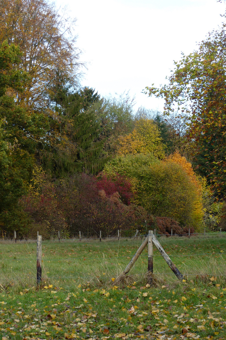 Herbst im Schlosspark 1 - November 2018