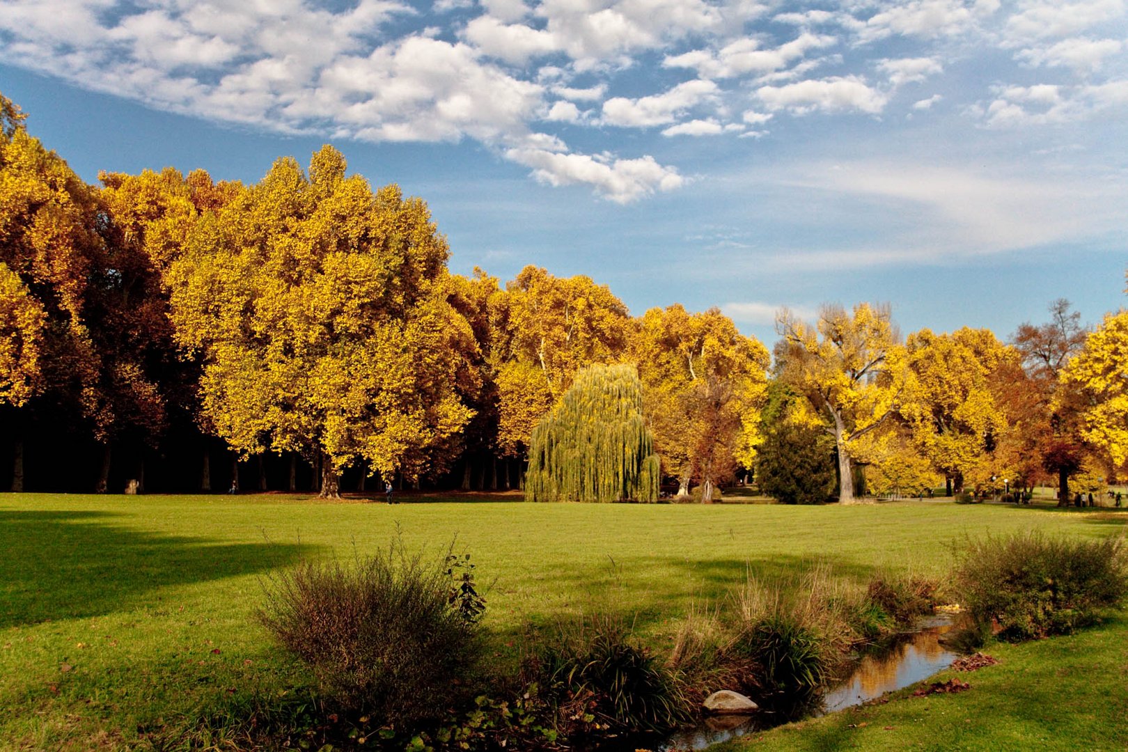 Herbst im Schlosspark