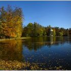 Herbst im Schloßpark (2)