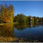 Herbst im Schloßpark (2)