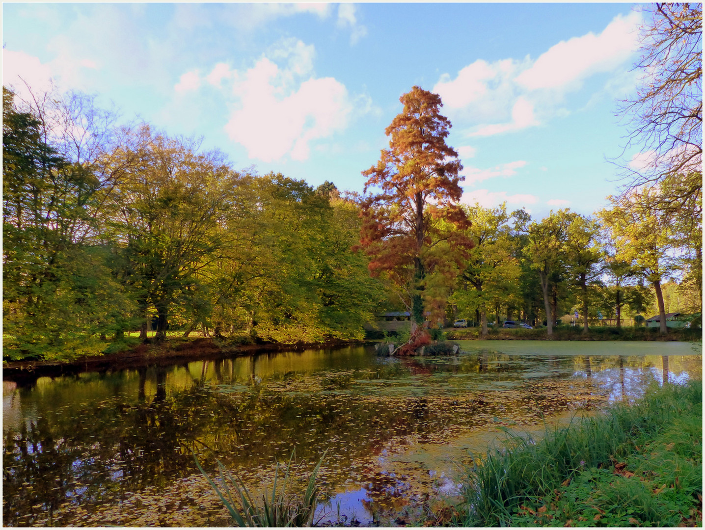 Herbst im Schlosspark