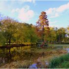 Herbst im Schlosspark