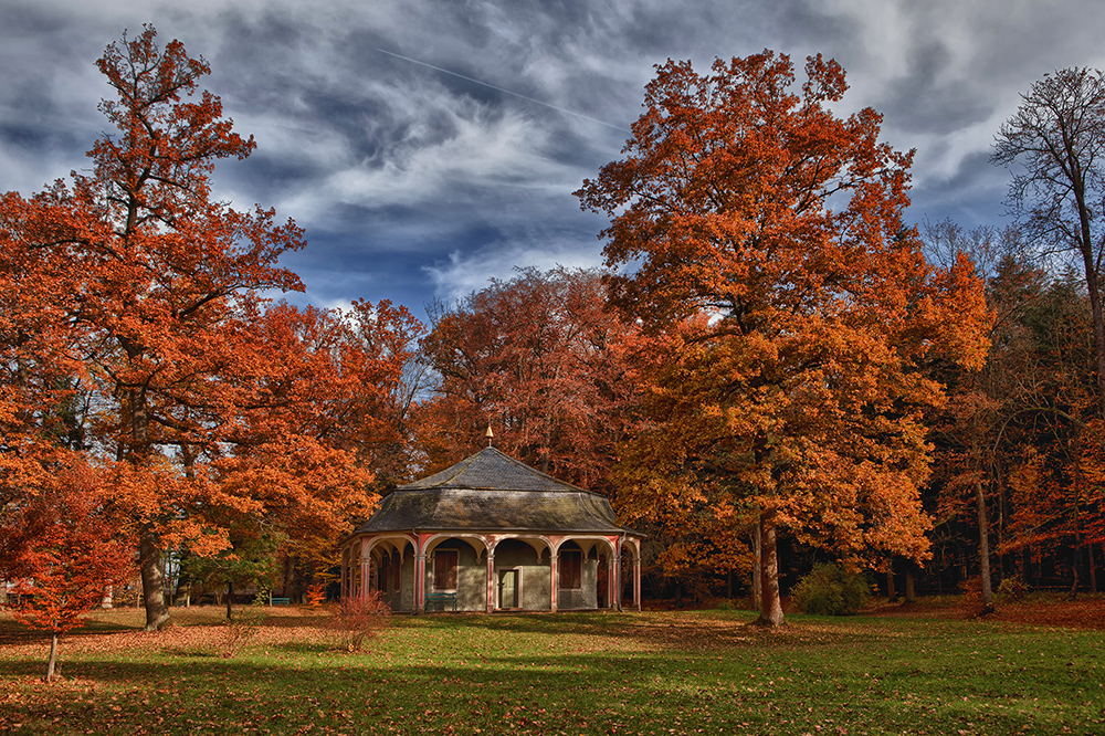 Herbst im Schlosspark