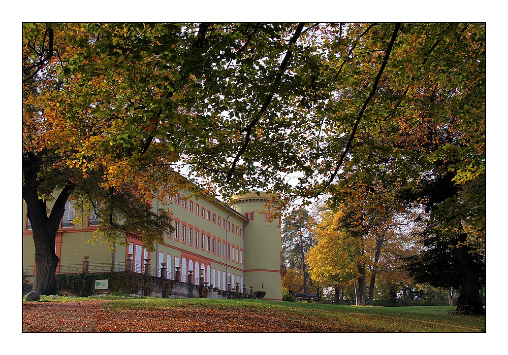 Herbst im Schlosspark