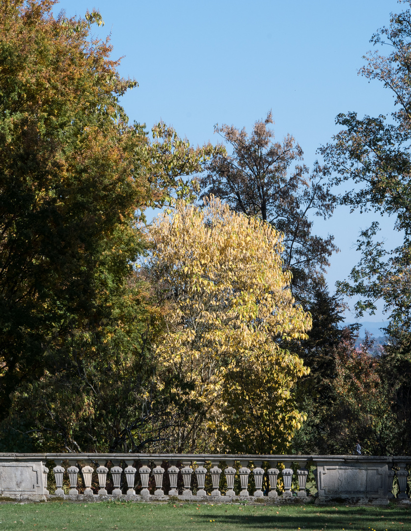 HERBST IM SCHLOSSPARK