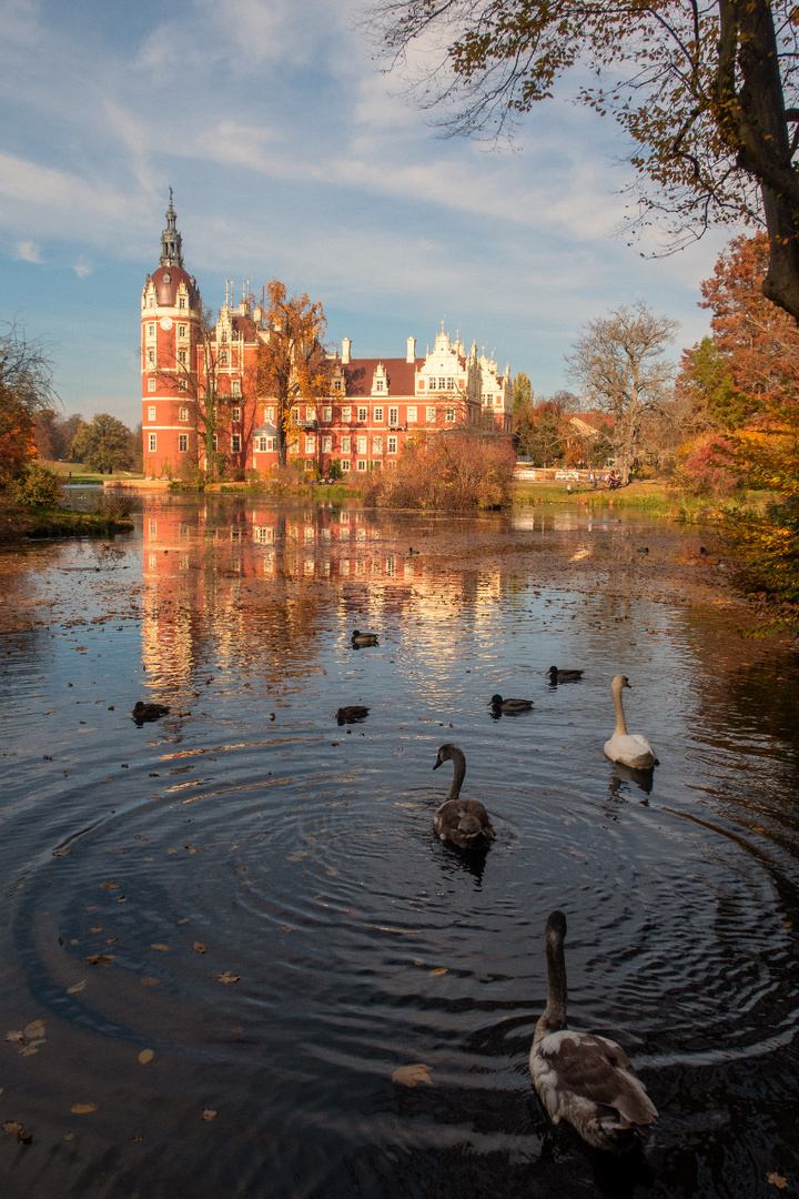 Herbst im Schloßpark