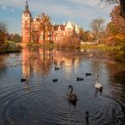 Herbst im Schloßpark