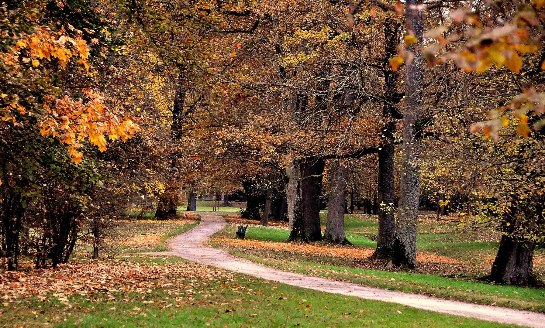 Herbst im Schlosspark