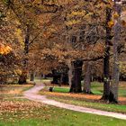 Herbst im Schlosspark