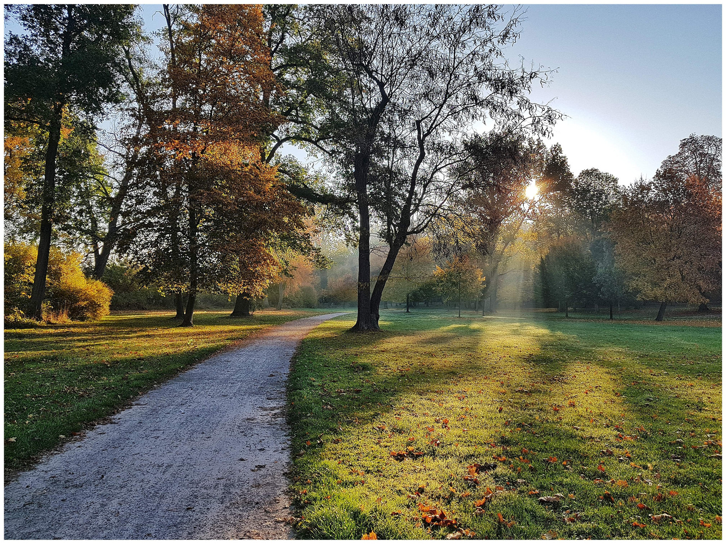 Herbst im Schlosspark 