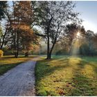 Herbst im Schlosspark 