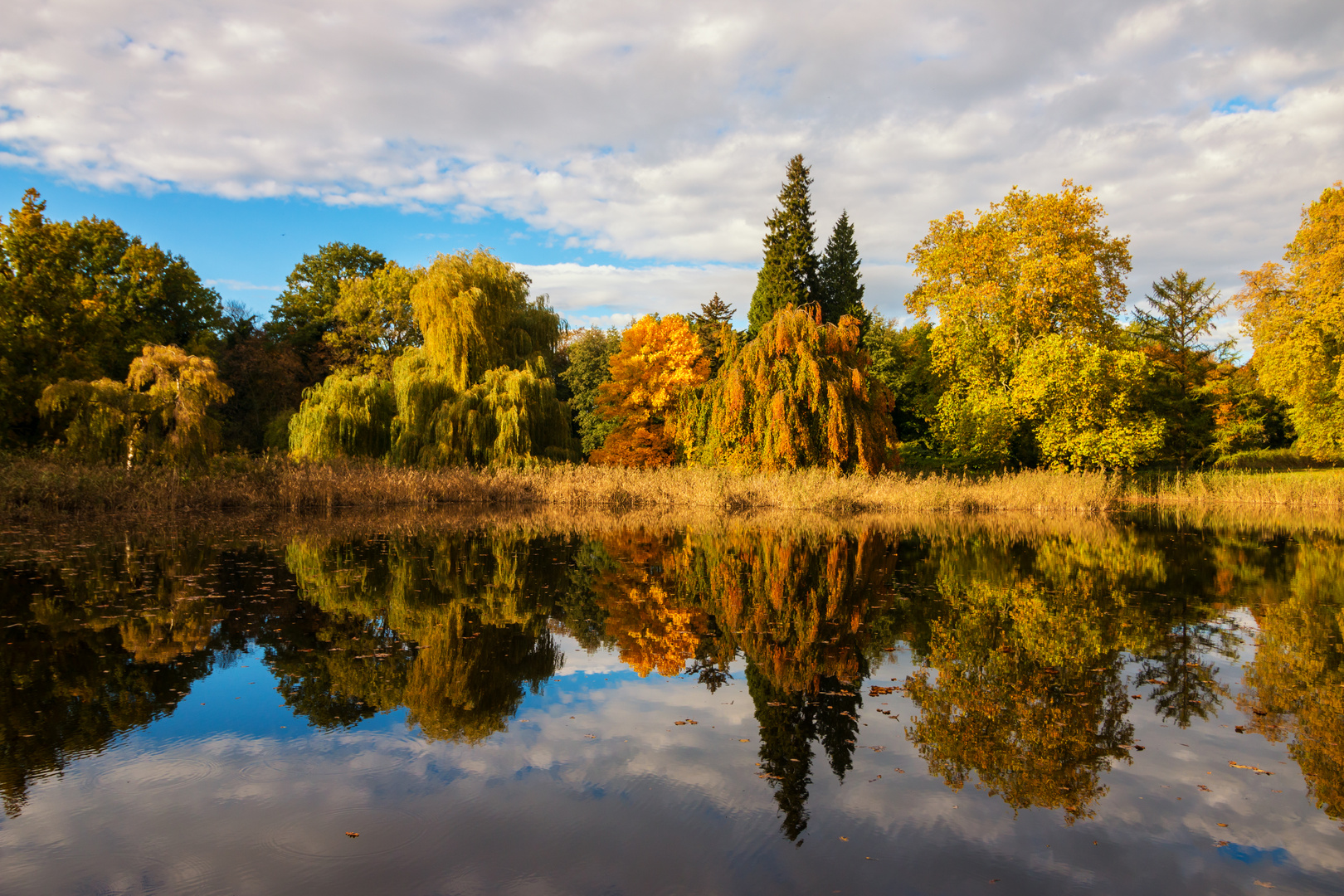 Herbst im Schloßpark