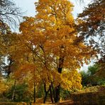 Herbst Im Schlosspark