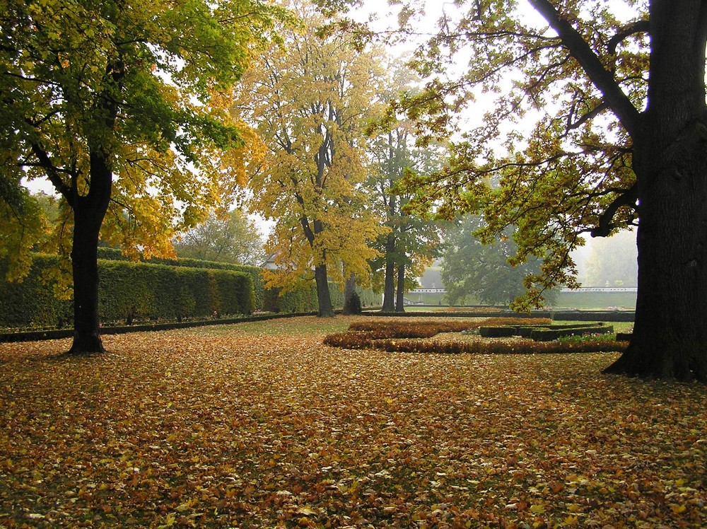 Herbst im Schlosspark