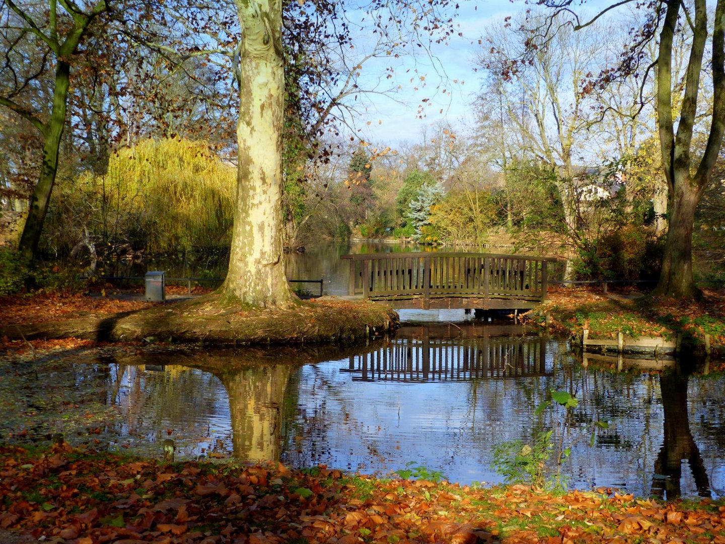 Herbst im Schlosspark