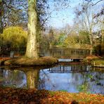 Herbst im Schlosspark