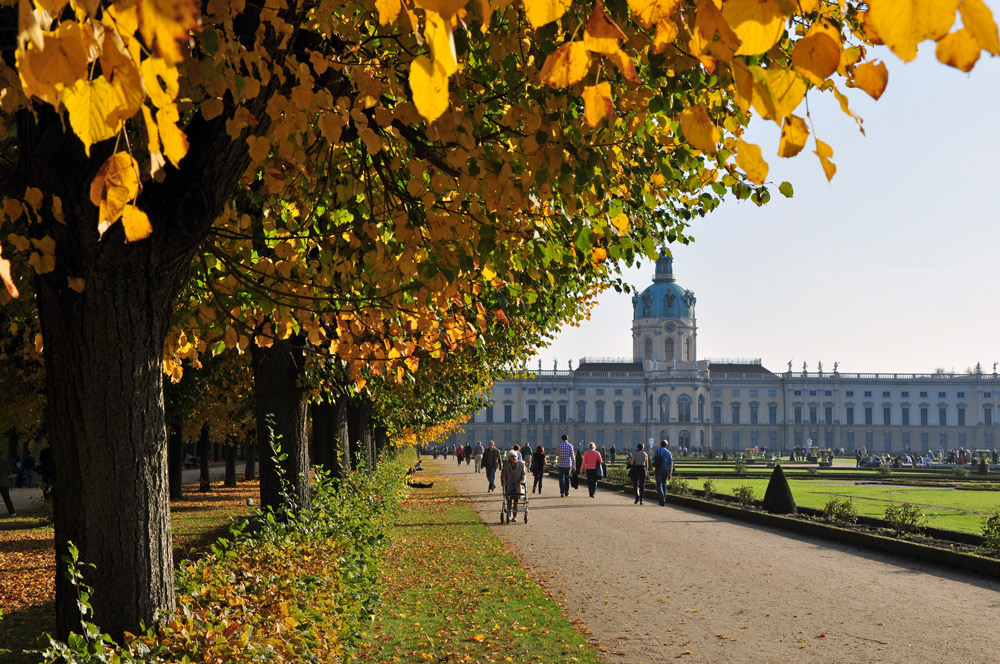 Herbst im Schloßpark