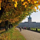 Herbst im Schloßpark