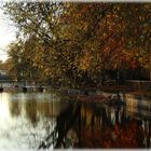 Herbst im Schlosspark