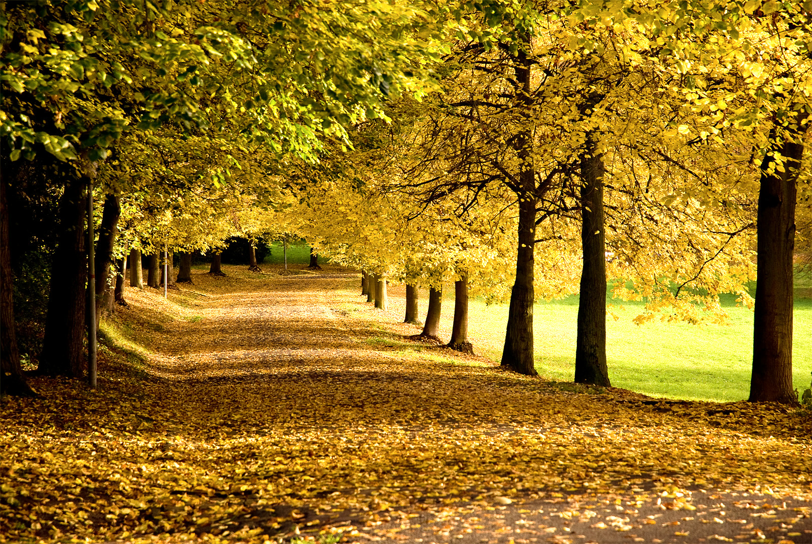 Herbst im Schloßpark