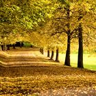 Herbst im Schloßpark