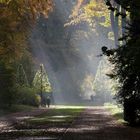 Herbst im Schlosspark Benrath (Düsseldorf)