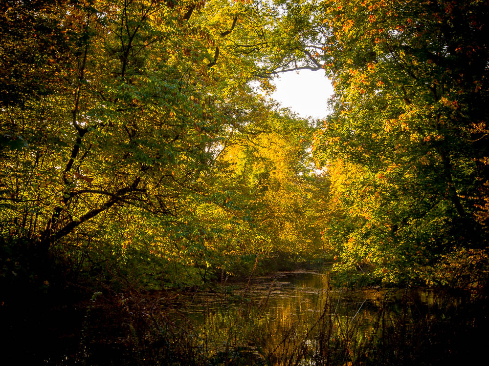 Herbst im Schlosspark Brühl