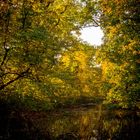 Herbst im Schlosspark Brühl