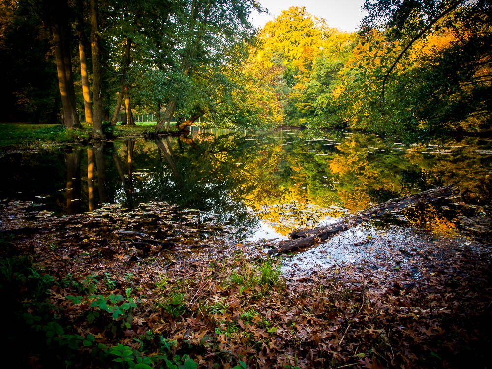 Herbst im Schlosspark Brühl II